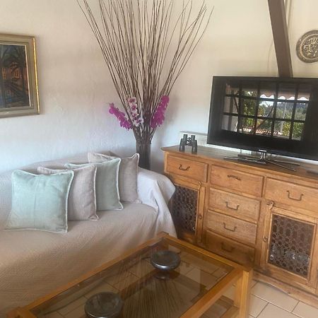 Aparthotel Oasis Skiatos Zewnętrze zdjęcie
